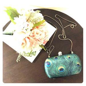 Lucky Brand Peacock Hard Clutch